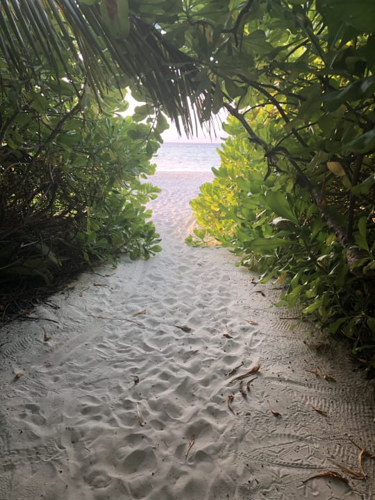 Ausblick Biyadhoo Island Resort