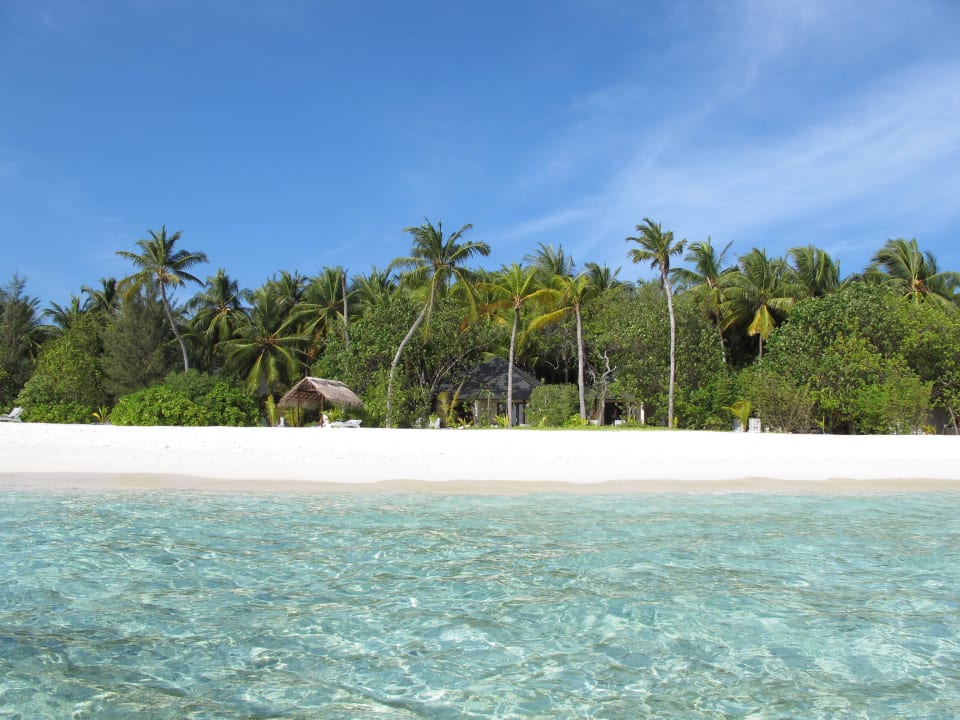 Ostseite Summer Island Maldives