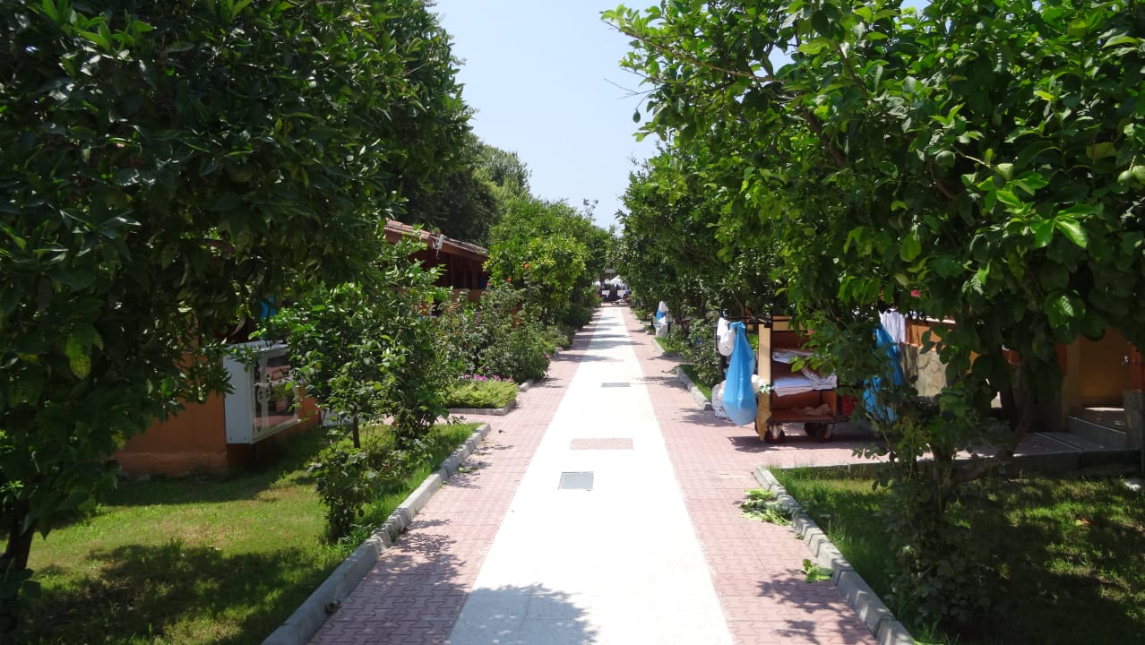 Gartenanlage Özlem Garden Hotel