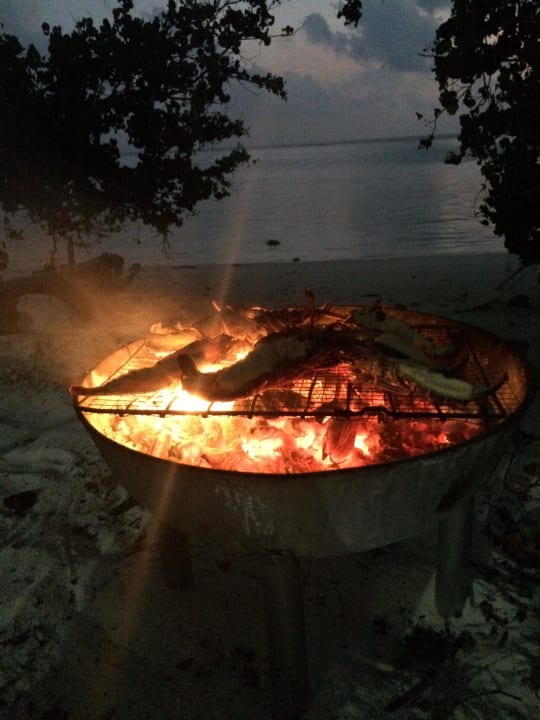 Gastro Maldives Diving Loabi