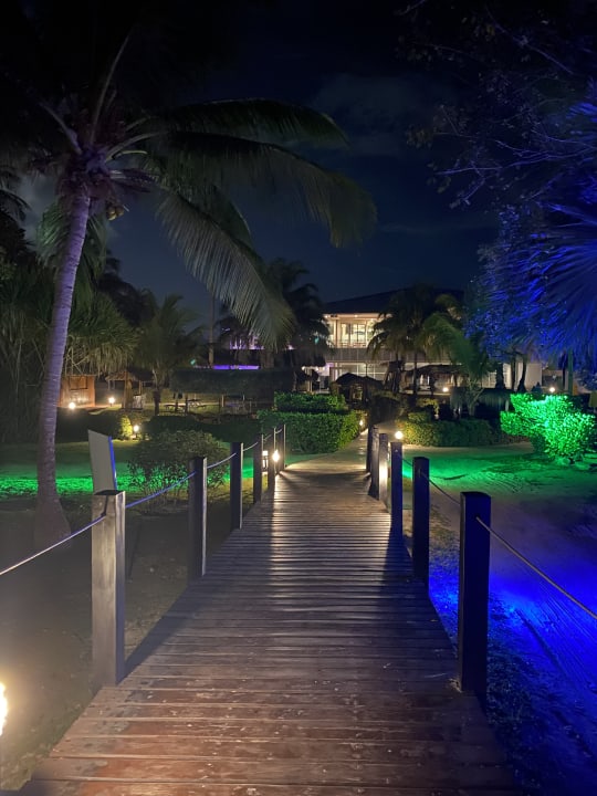 Gartenanlage Royalton Hicacos Resort & Spa - Adults only