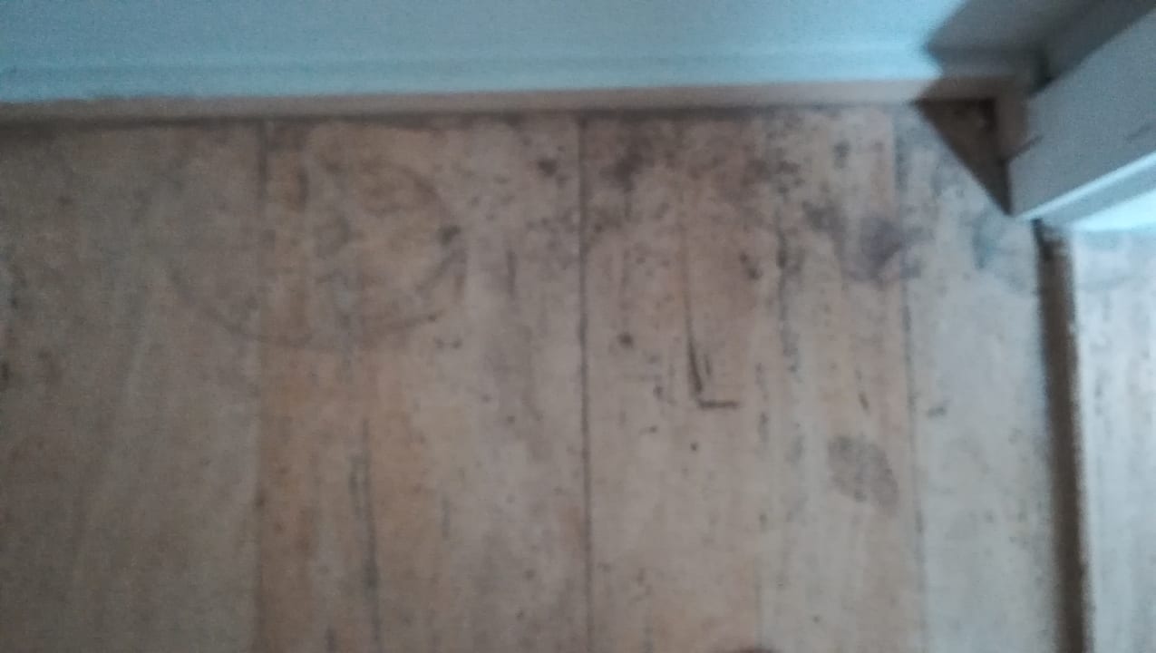 Zimmer Greenwood Kemer Resort