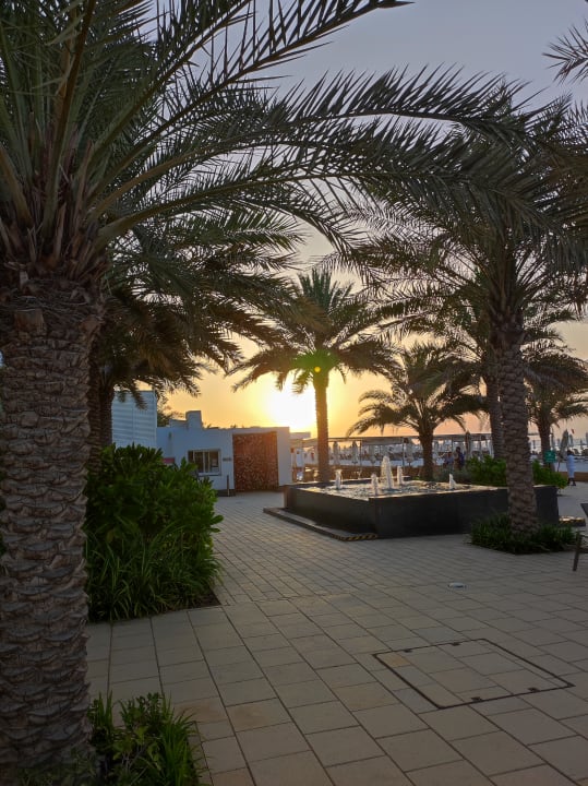 Gartenanlage Hotel Riu Dubai