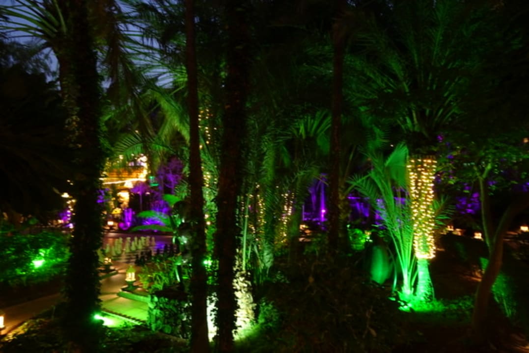Ausblick Hotel Parque Tropical