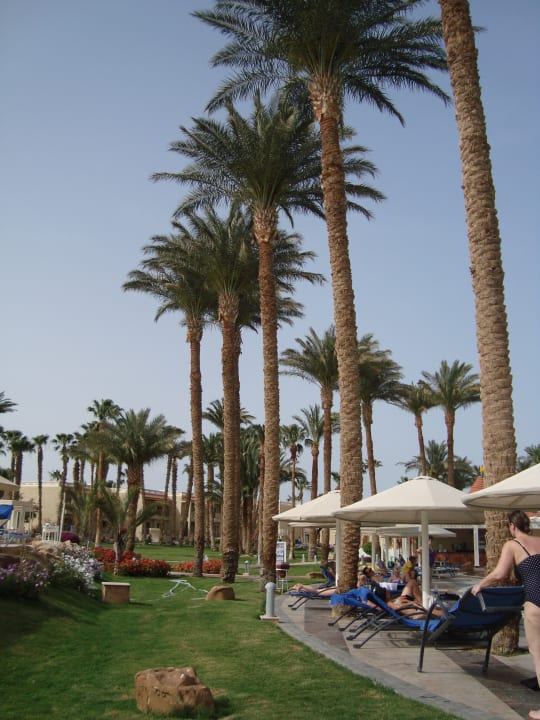 Gartenanlage Beach Albatros Resort