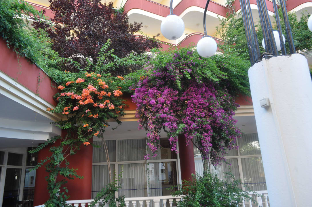 Цветники Holiday Park Resort