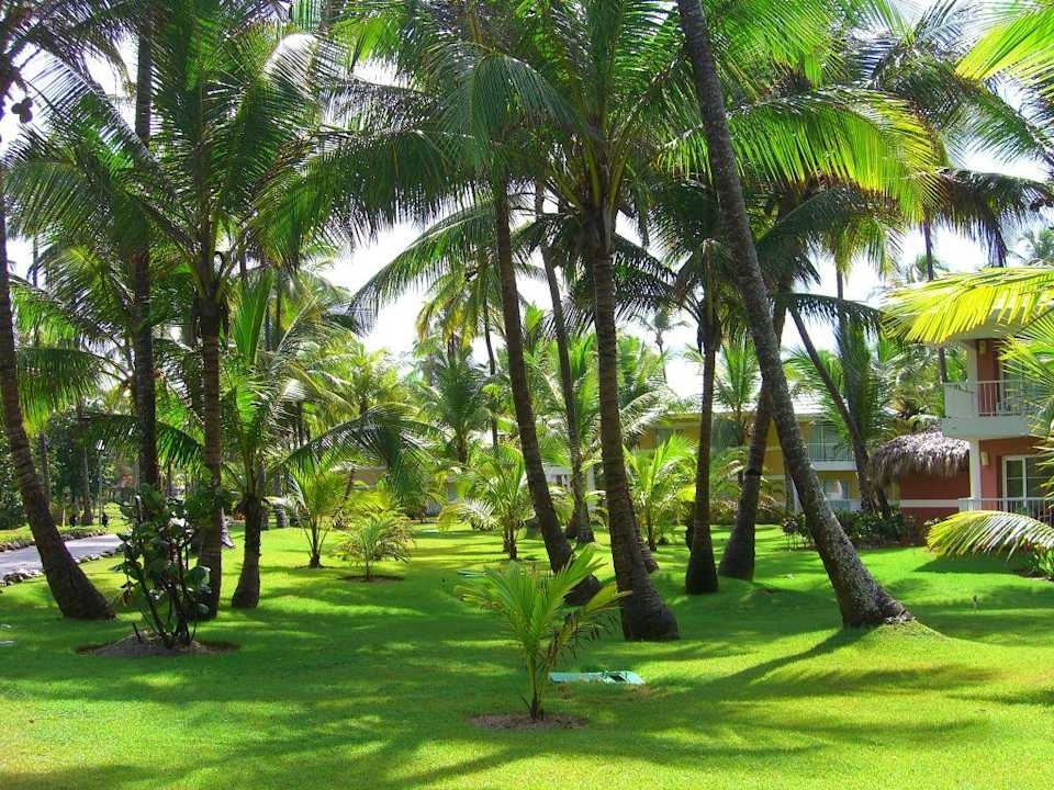 Palmen ohne Ende Grand Palladium Select Bávaro Resort & Spa