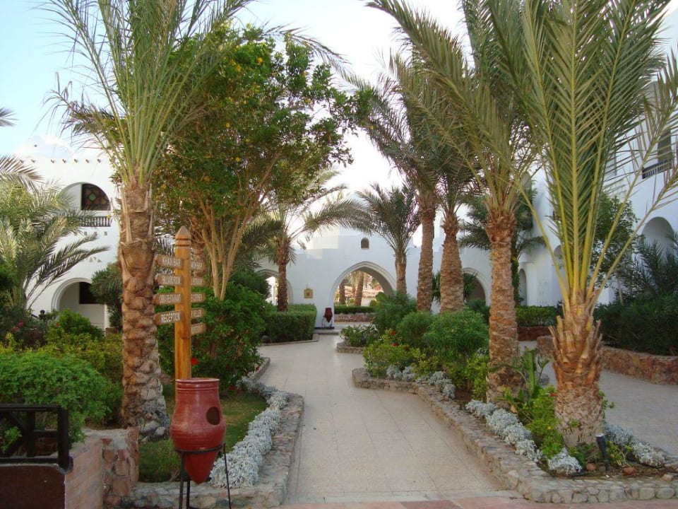 Ogród Arabella Azur Resort