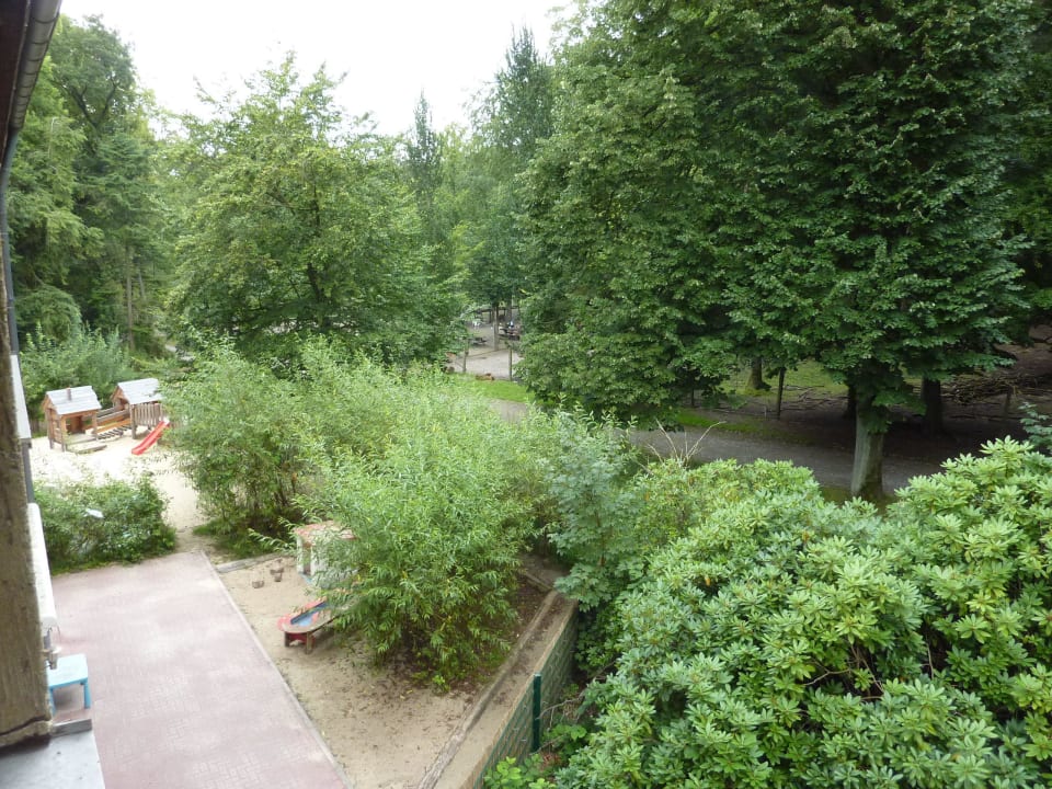 Blick in den Wald Hotel Haus Hohenstein