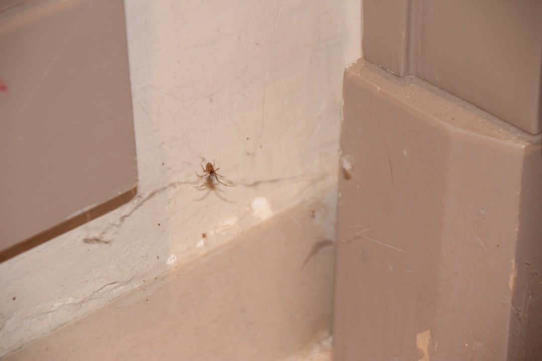 Zimmer Iberostar Waves Mehari Djerba