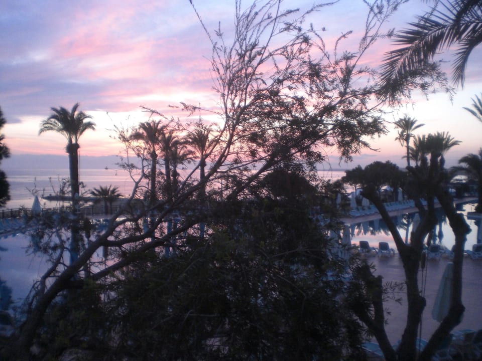 Zimmerausblick PALOMA Perissia