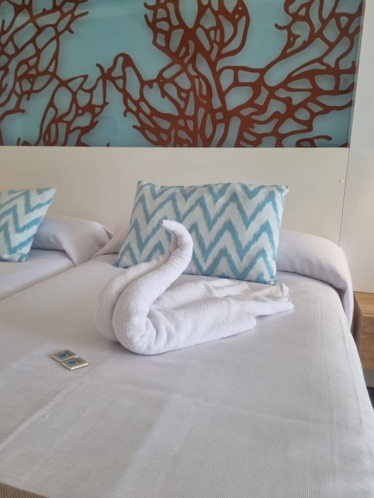 Zimmer The Sea Hotel by Grupotel - Adults only