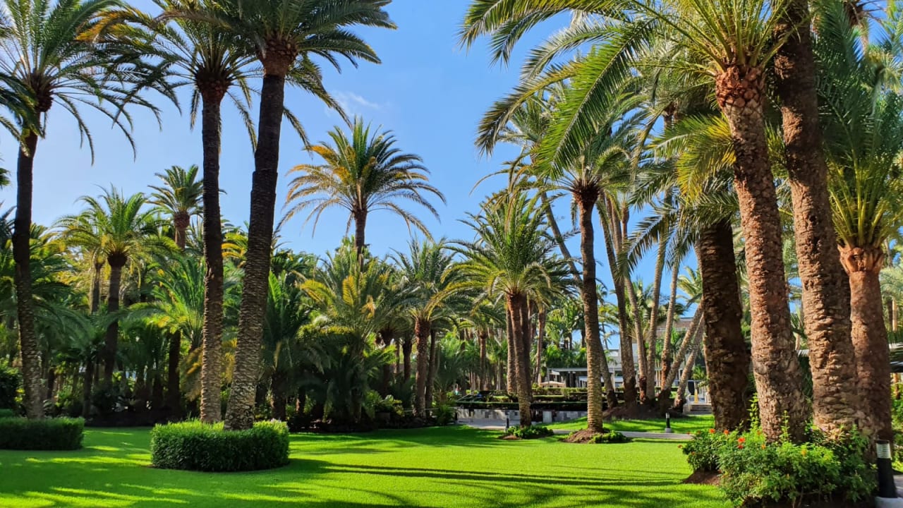 Gartenanlage Hotel Riu Palace Oasis