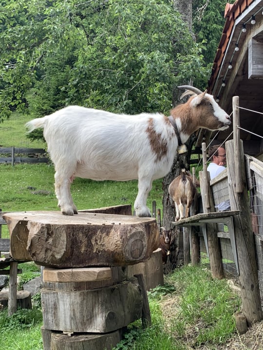 Sonstiges Oberjoch - Familux Resort