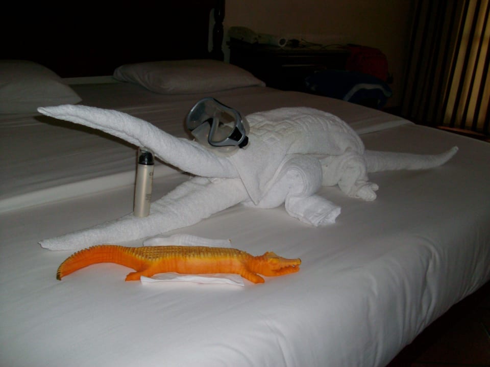 Unsere Krokos bewachen unser Zimmer Ali Baba Palace Resort
