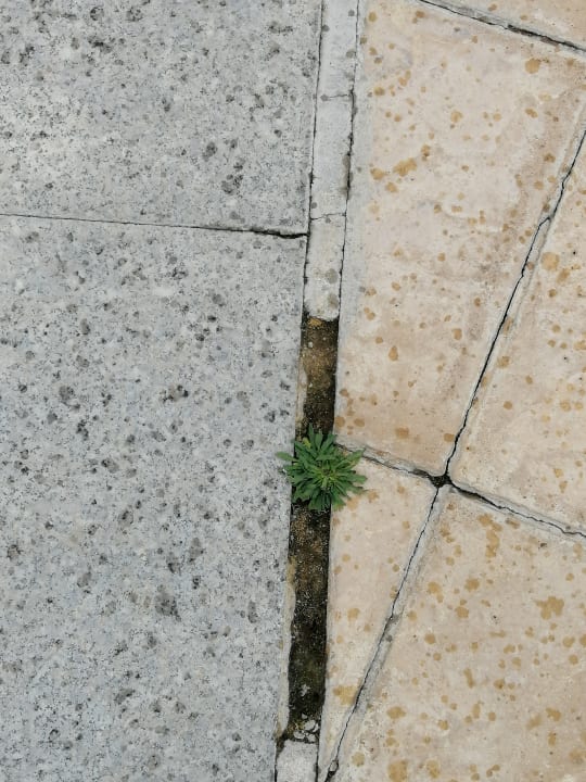 Sonstiges Hotel Louis Imperial Beach