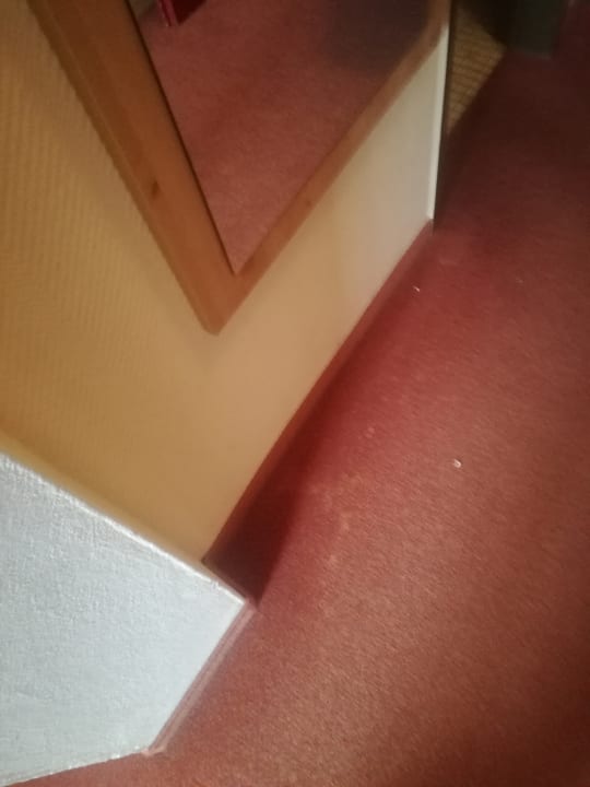 Zimmer Landhotel Maiergschwendt