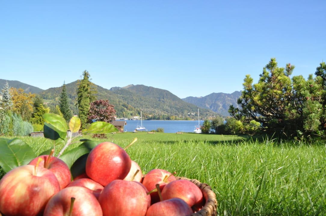 Blick zum See mit Liegewiese Schlosserhof am See