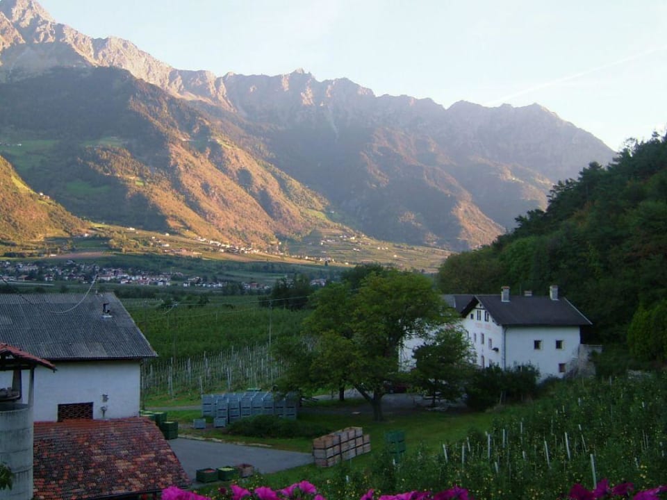 Hotel Meringerhof  Algund Hotel Meringerhof