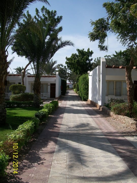 С пляжа в номер Menaville Safaga