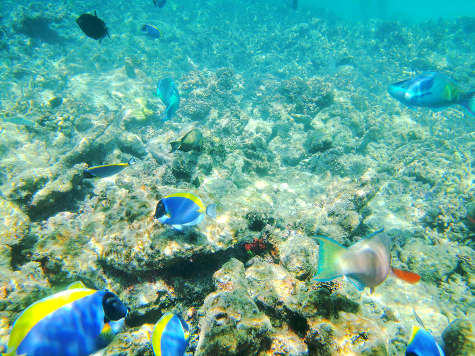 Sport & Freizeit Angaga Island Resort