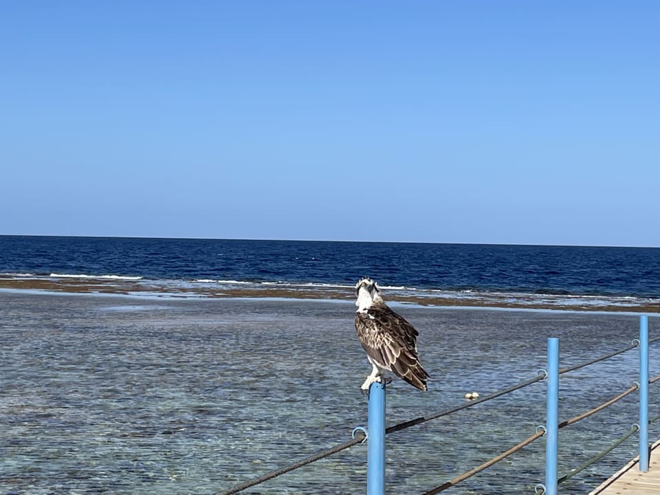 Strand Three Corners Happy Life Beach Resort