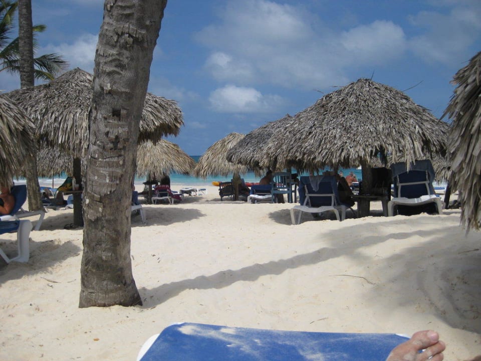 Ausblick von einer Strandliege Punta Cana Princess All Suites Resort & Spa