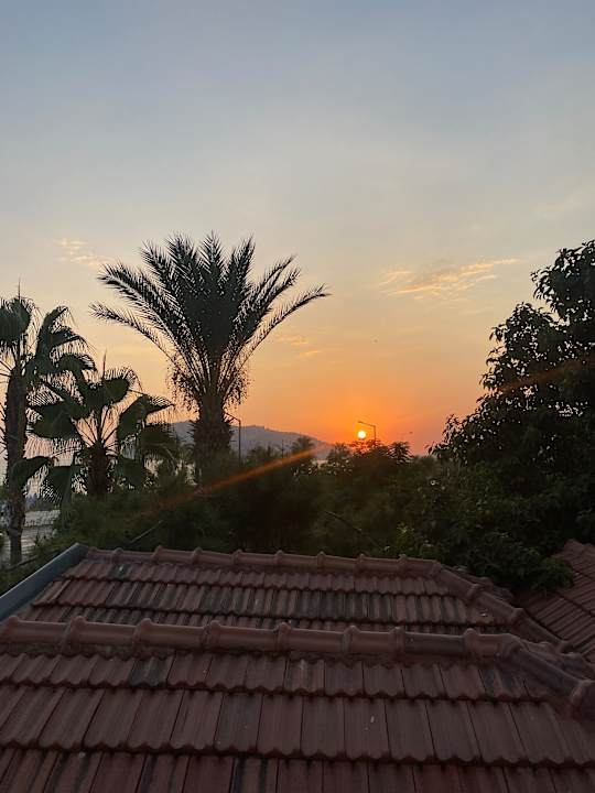 Zimmer Blue Diamond Alya