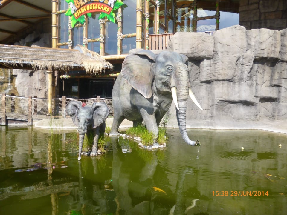 Dschungelland außen Ferienwohnungen Ferienpark Weissenhäuser Strand