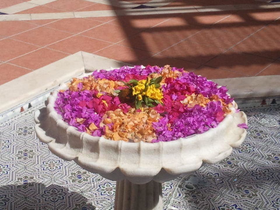 Wilkommen Steigenberger Coraya Beach - Adults only