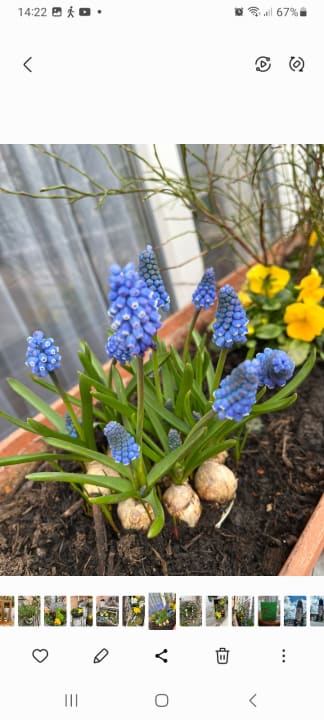 Außenansicht Gästehaus Schulz