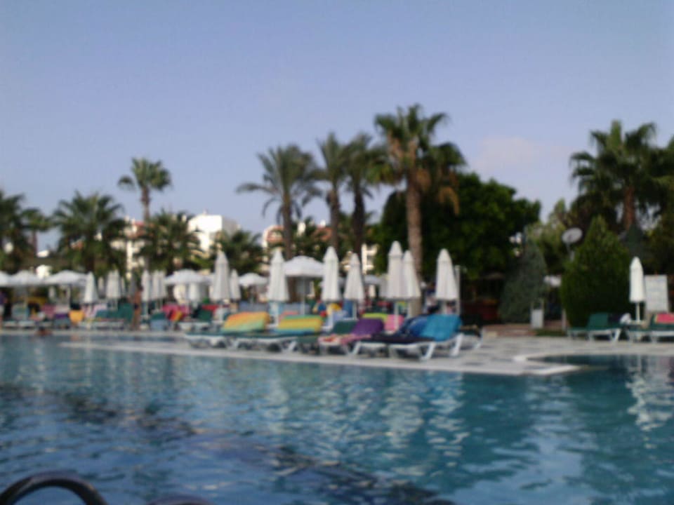 Pool Hane Family Resort