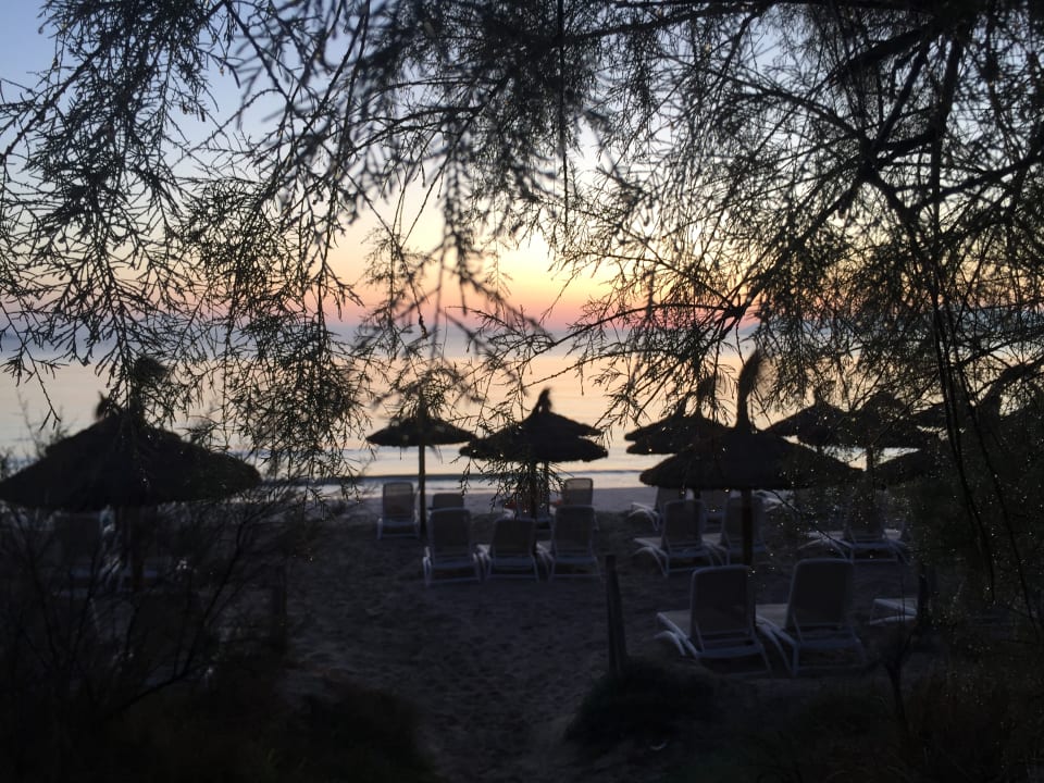 Ausblick Iberostar Waves Playa de Muro