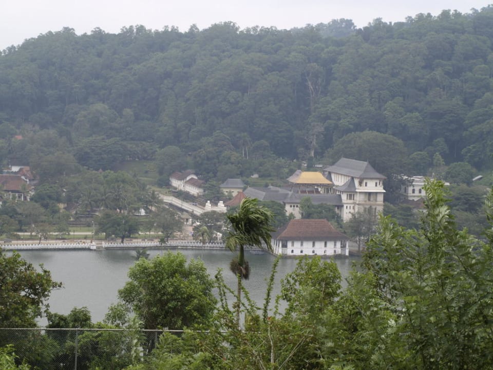 Blick vom Hotel Oak Ray Serene Garden Hotel