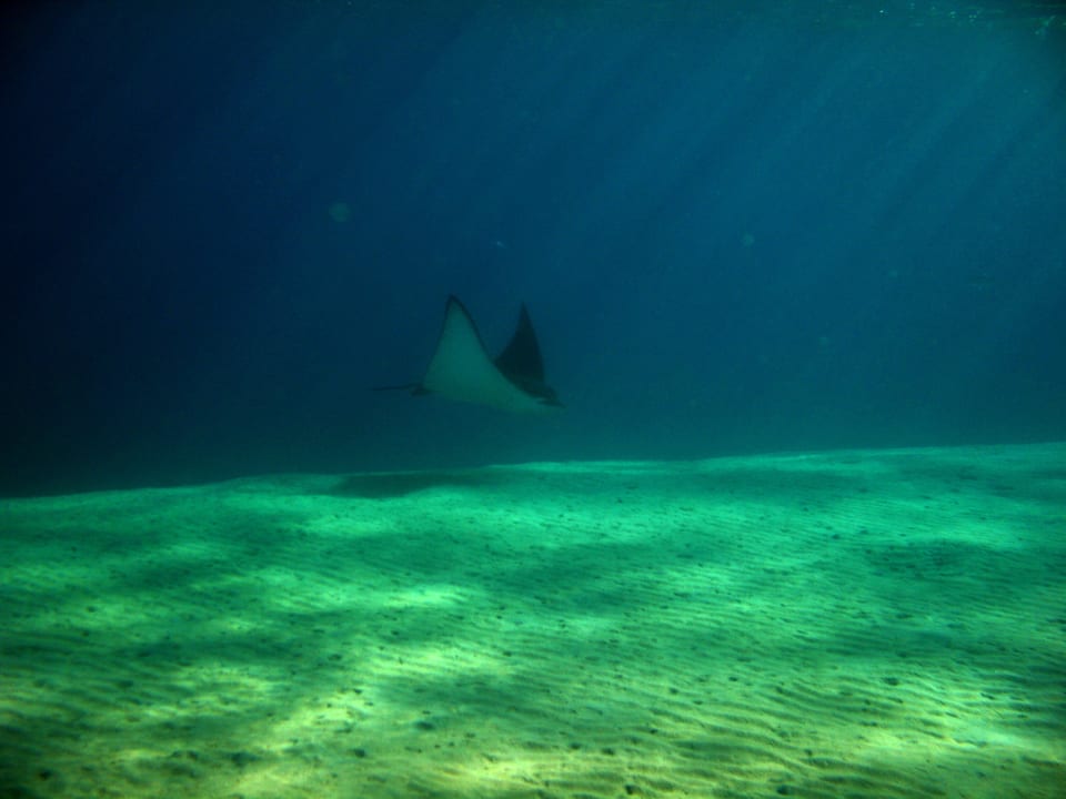 8 Stella Beach Resort & Spa Makadi Bay