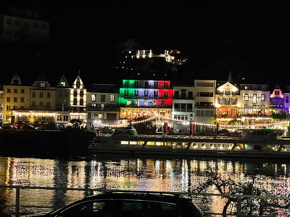 Ausblick Moselstern Hotel Brixiade & Triton