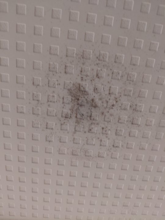 Zimmer Hotel Sorra Daurada Splash