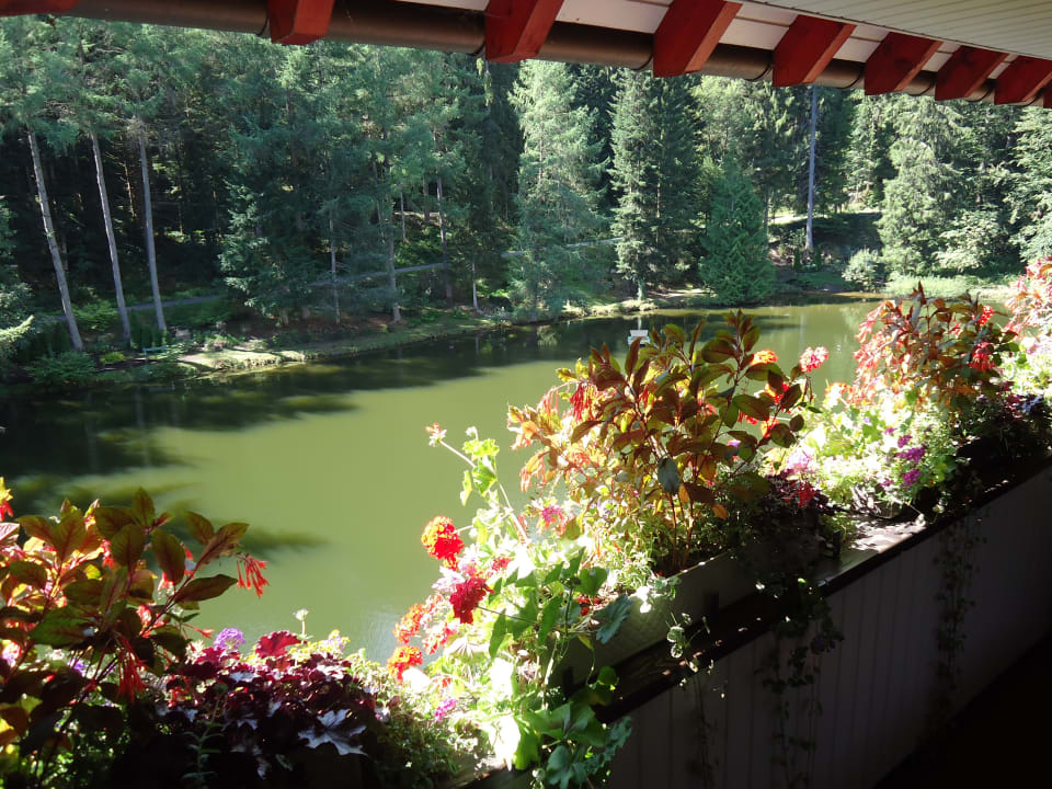 Ausblick Hotel Langenwaldsee