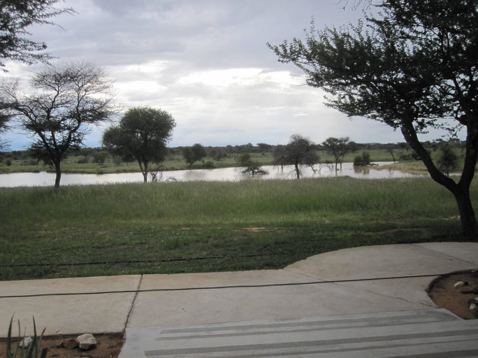 Ausblick vom Zimmer Otjiwa Safari Lodge