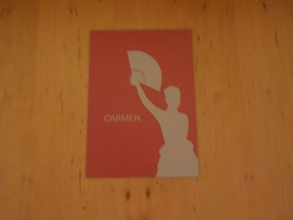"Carmen" Zimmer Hotel Schandl