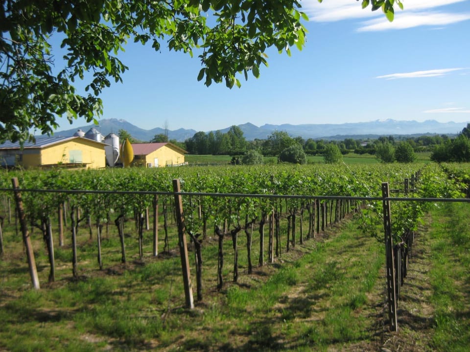 Vista del Monte Baldo Agriturismo & AgriCamping Le Nosare