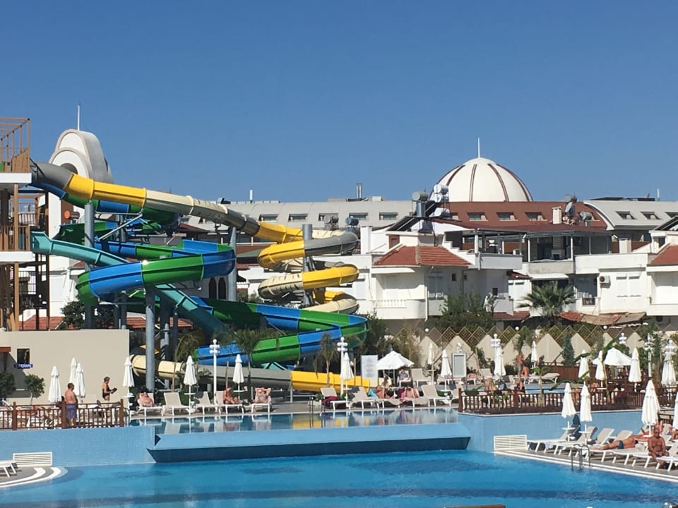 Sport & Freizeit Seashell Vega