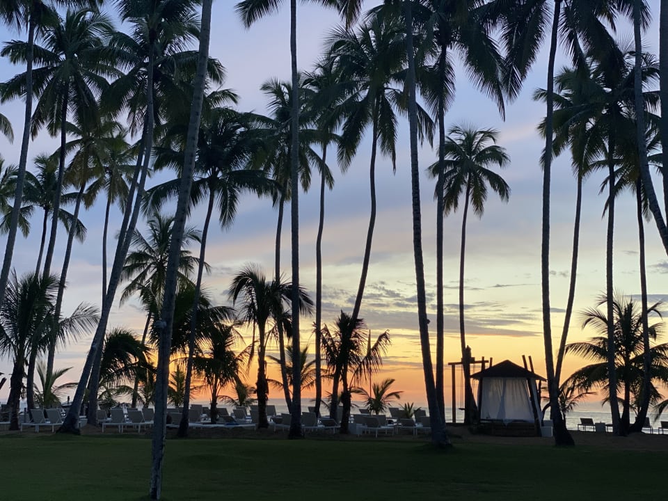 Gartenanlage Viva V Samana by Wyndham – Adults Only