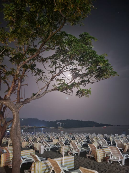 Strand Hotel Gardenia Beach