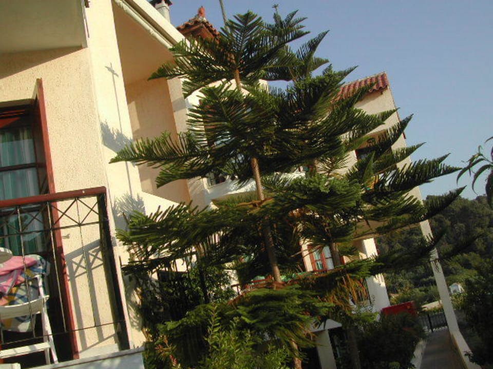 hotel kalidon außen Kalidon