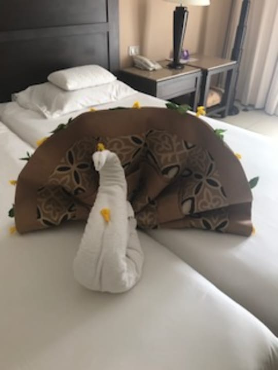 Zimmer Jaz Dar EL Madina