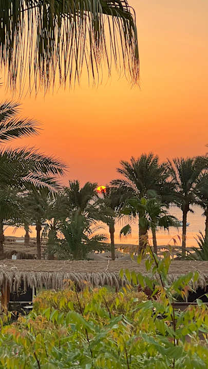 Zimmer Fort Arabesque Resort, Spa & Villas