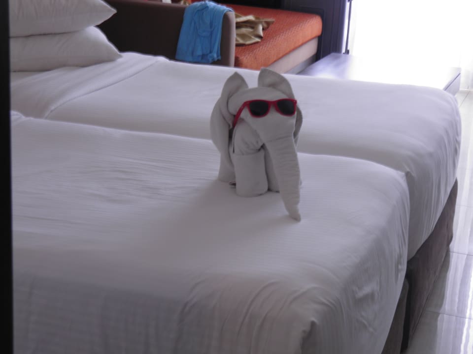 Zimmer Turyaa Kalutara