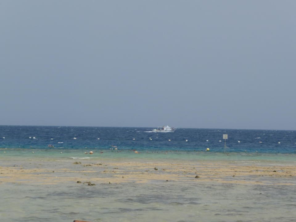 Badeschuhe nötig! Grand Makadi