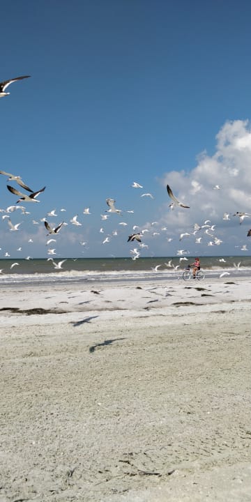 Strand Wyndham Garden Hotel Fort Myers Beach